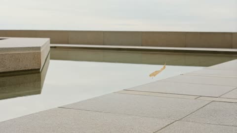 Review 2